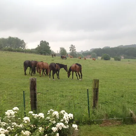 Mansion With Stunning View * Ellezelles