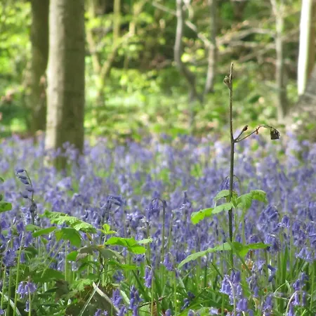 Mansion With Stunning View 펜션 *