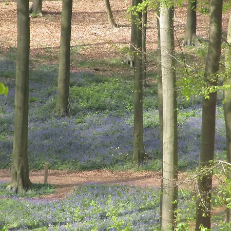 Mansion With Stunning View Feriehus Ellezelles