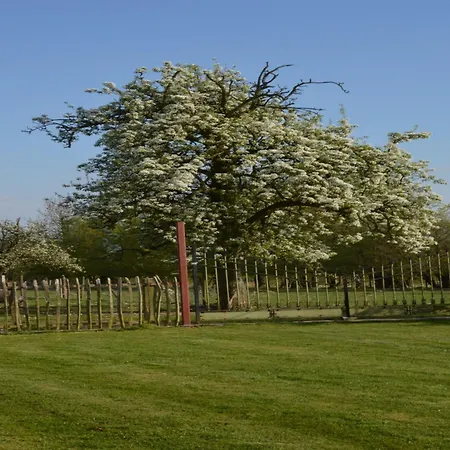 Mansion With Stunning View 펜션 *