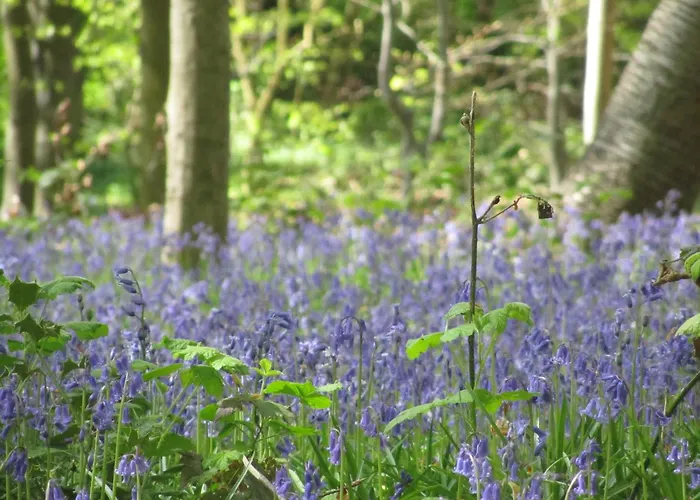 Mansion With Stunning View Hébergement de vacances *
