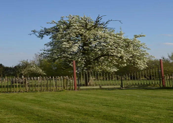 Mansion With Stunning View Hébergement de vacances *